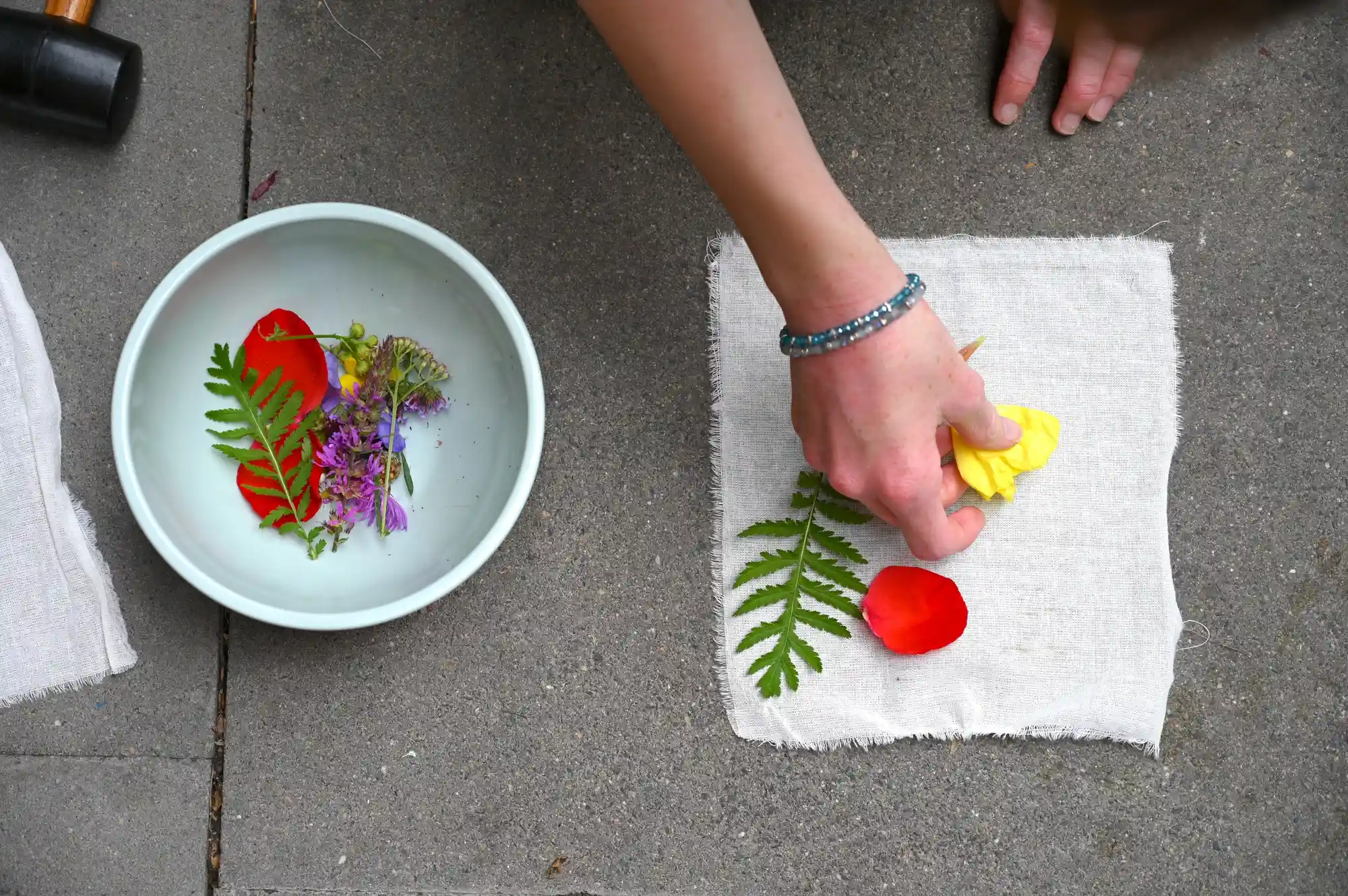 37. Sommerakademie Alfter  Bild 2