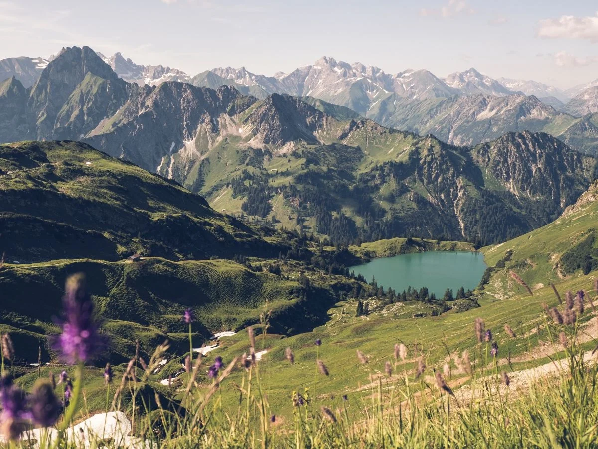 Allgäu. Welchen Wert hat die Natur? Nachhaltiger und wirtschaftlicher Umgang mit der Natur lokal und global verstehen. Bild 1