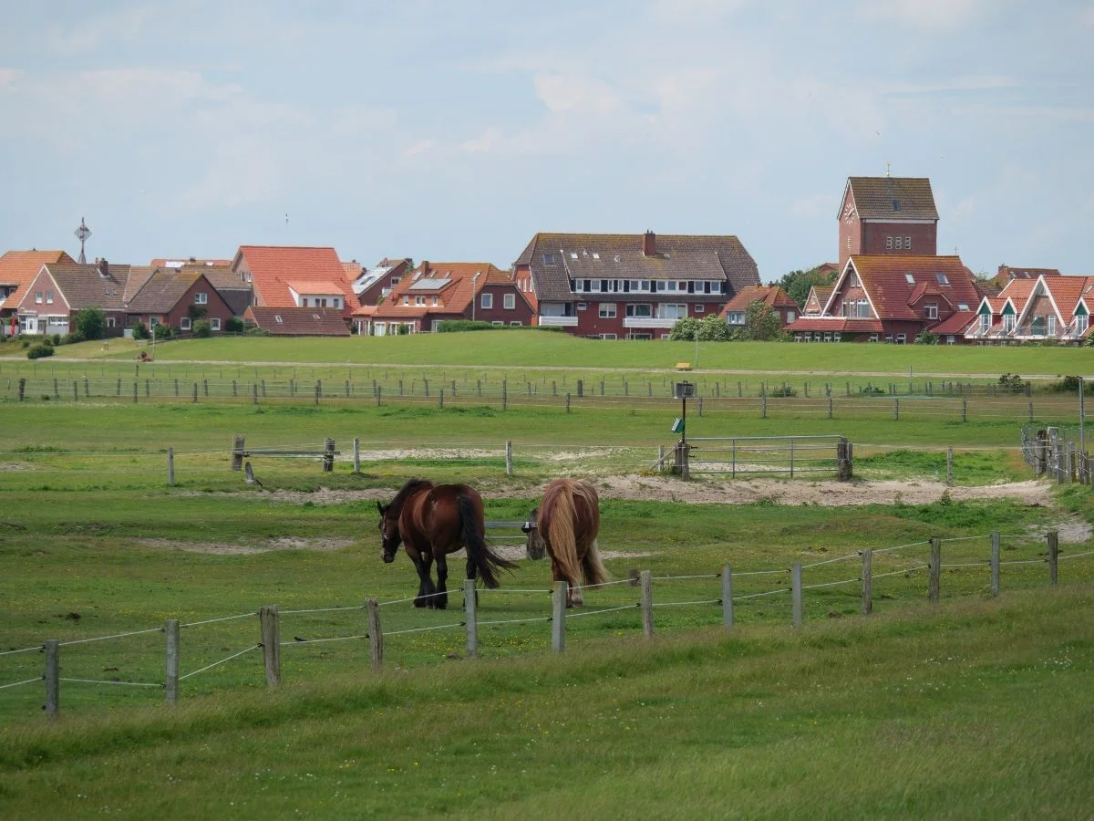 Baltrum. Höher, wärmer, saurer - Leben an der Küste in Zeiten des Klimawandels. Bild 1