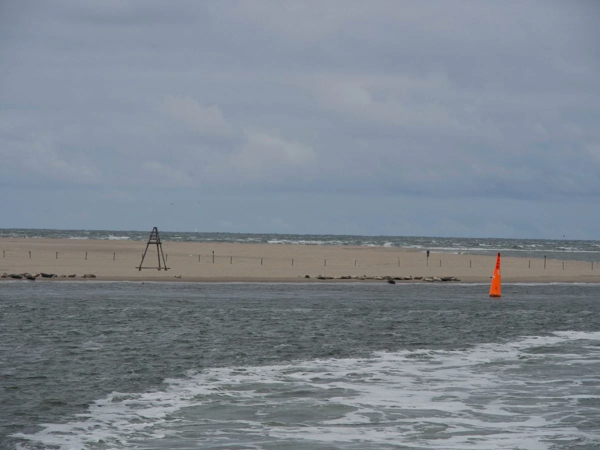 Baltrum. Höher, wärmer, saurer - Leben an der Küste in Zeiten des Klimawandels. Bild 2