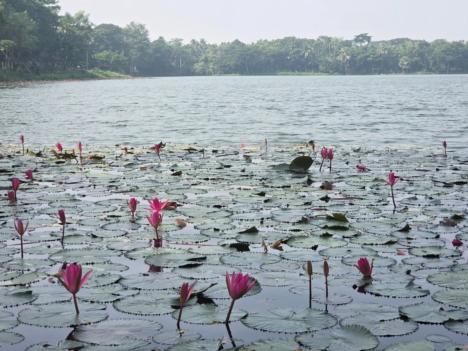 Bangladesch: Zwischen Klima, Klamotten und Kultur - Politische Studienreise Bild 2