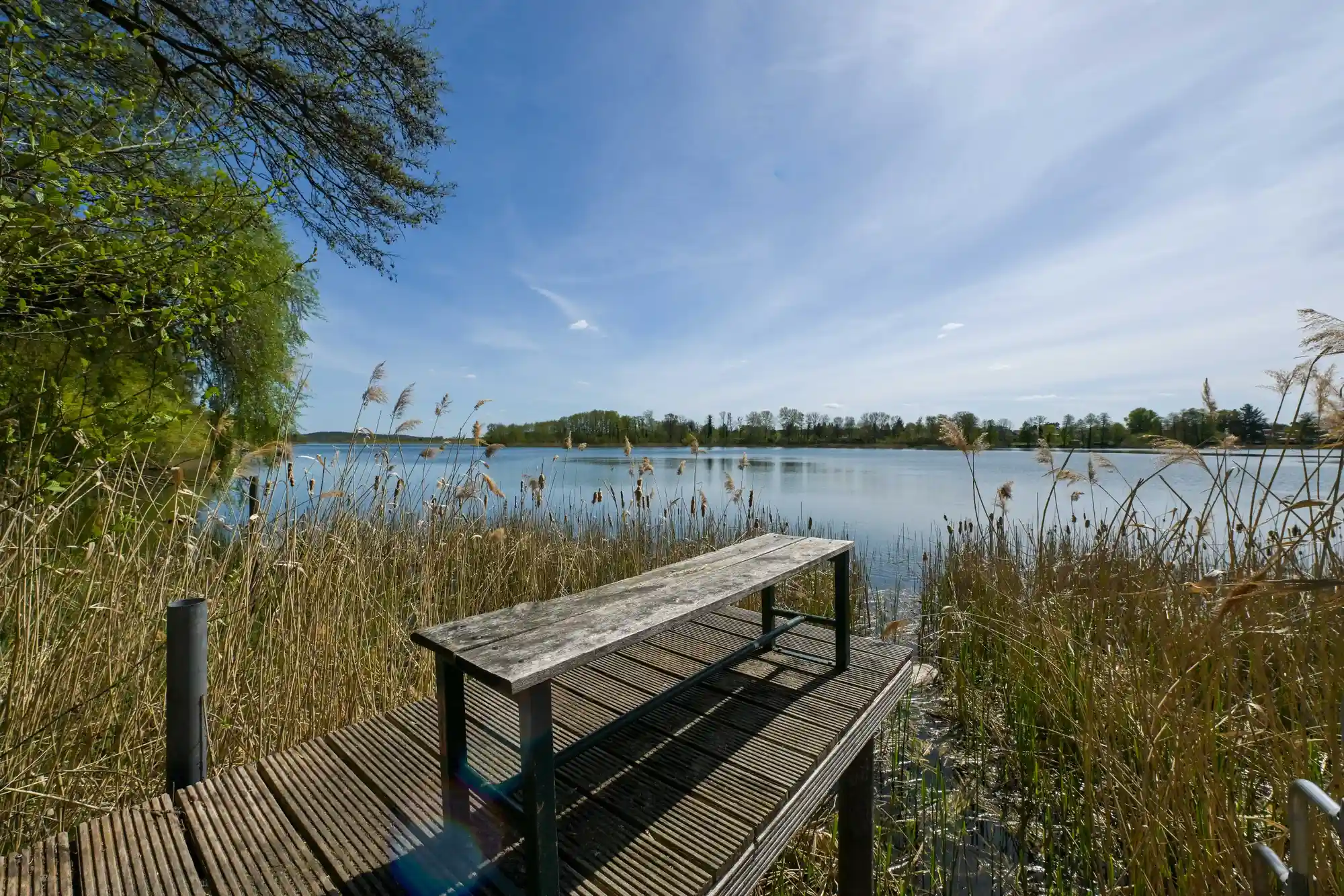 Unsere grüne Themenwoche- Naturerlebnis Pilze und Kräuter, Wald und Wasser Bild 2