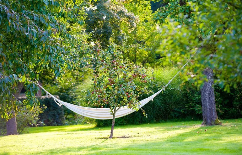EINFACH.SEIN. - AERIAL-YOGA trifft LIFE-TRUST - ganz nah der Ostsee Bild 2