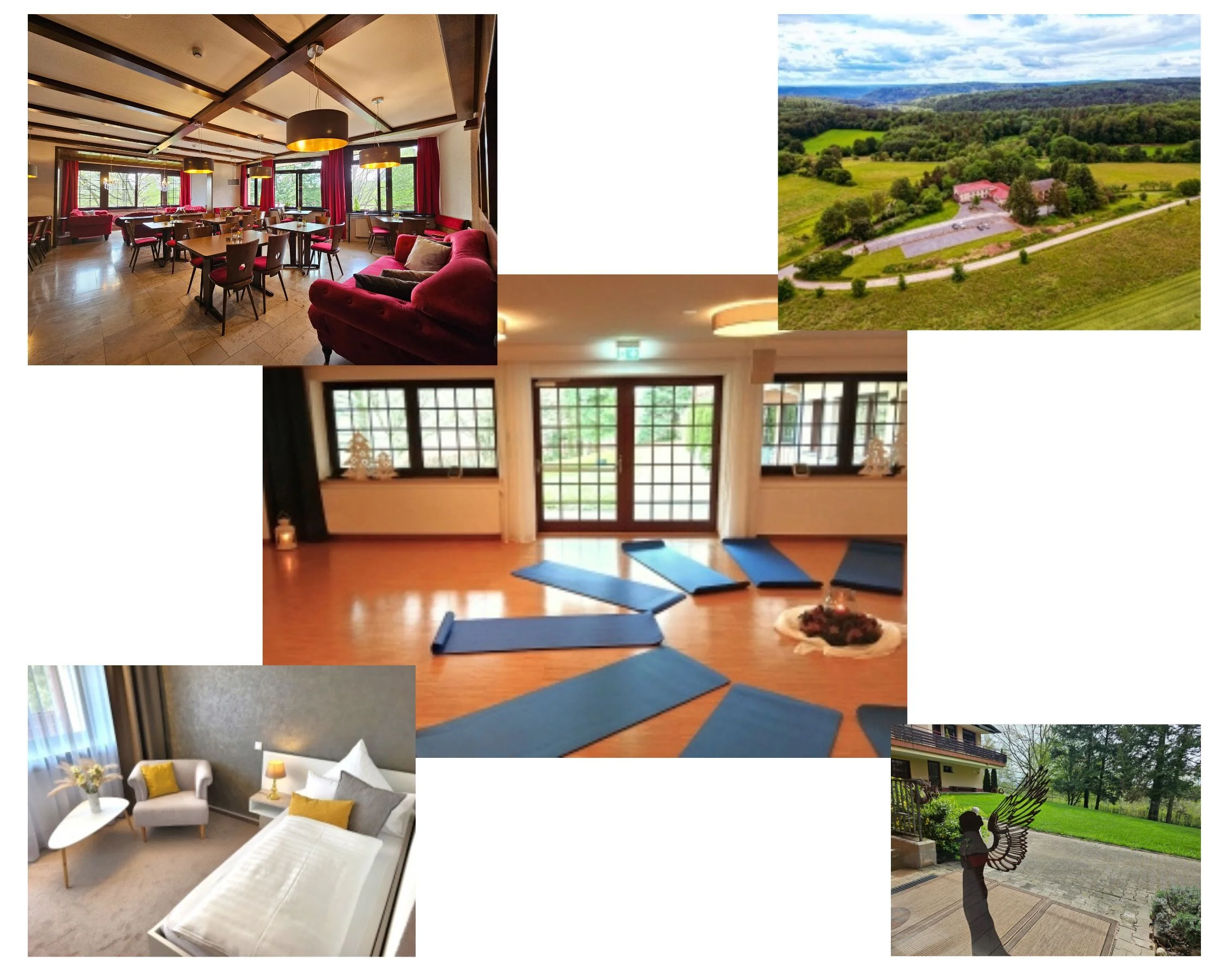 Gesundzeit – Buchingerfasten trifft auf Natur-Resilienz (Schollbrunn im Spessart) Bild 1