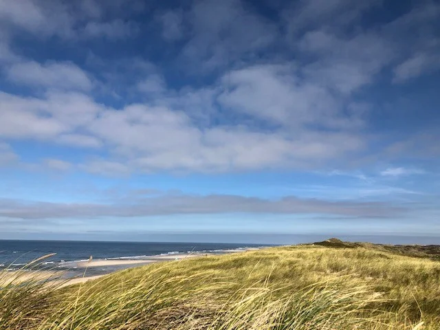 GLAUB NICHT ALLES, WAS DU DENKST ... BU auf Sylt Bild 1