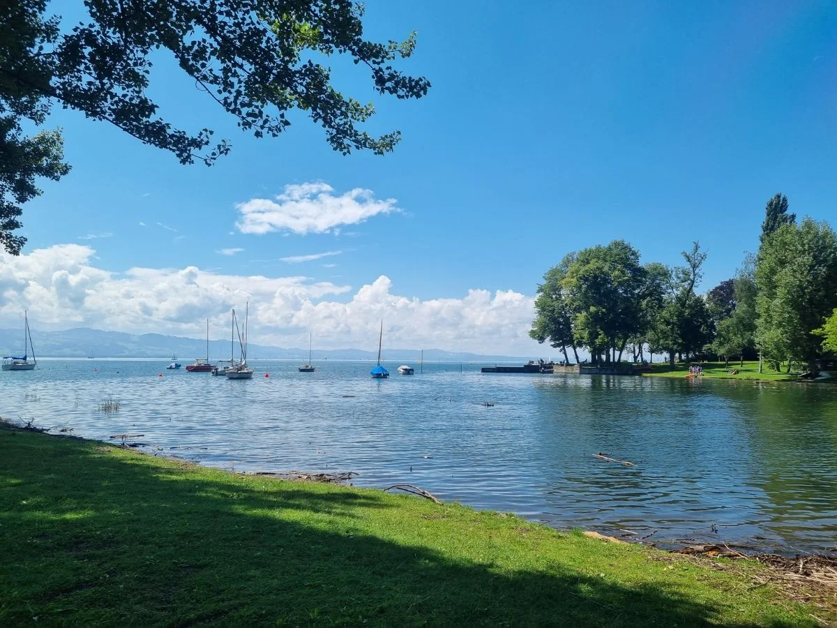 Halbinsel Höri am Bodensee. Entwicklung und Erhalt einer Kulturlandschaft zwischen Tradition und Moderne. Bild 2