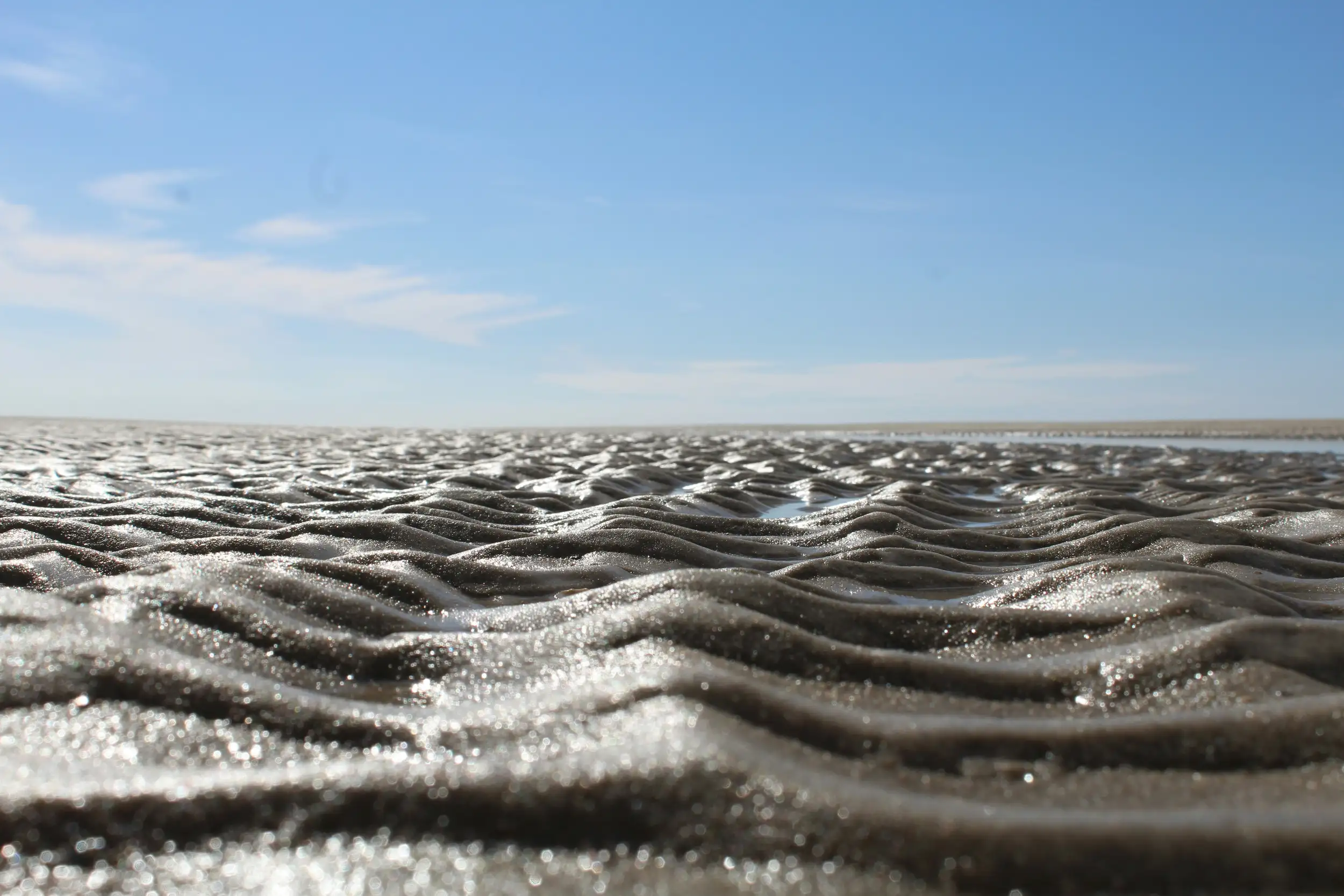 In Balance zwischen Arbeits- und Lebenswelt - ein Bildungsurlaub in Spiekeroog Bild 2