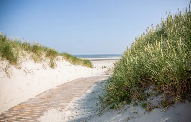 Work-Life-Design auf Langeoog  Bild 1