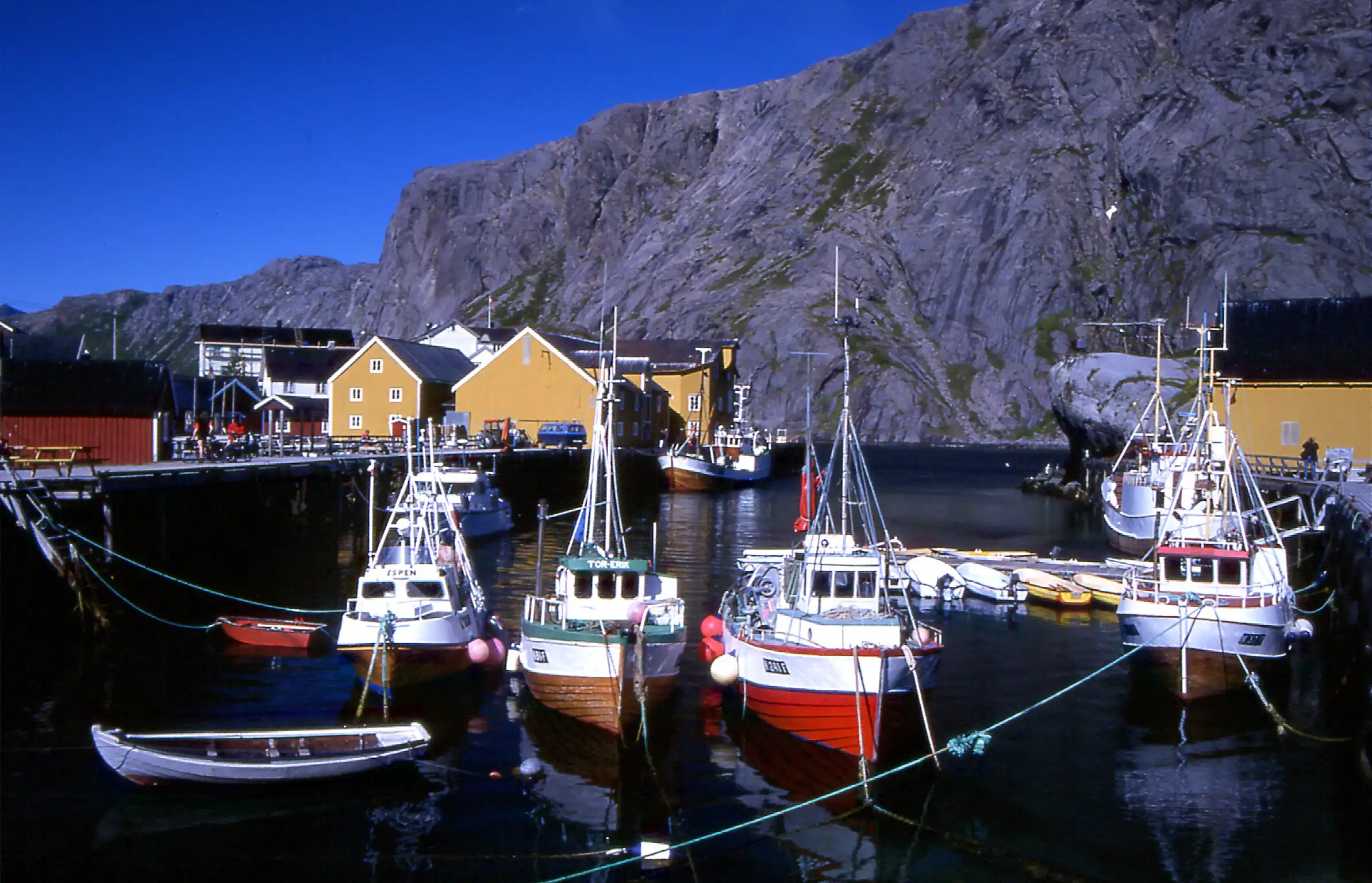 Lofoten und Vesterålen - Ökologie und Umweltprobleme einer Inselgruppe nördlich des Polarkreises Bild 1