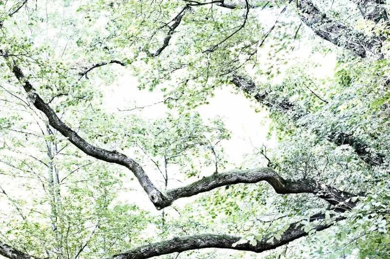 Mit allen Sinnen - Fotografie und Achtsamkeit Bild 1