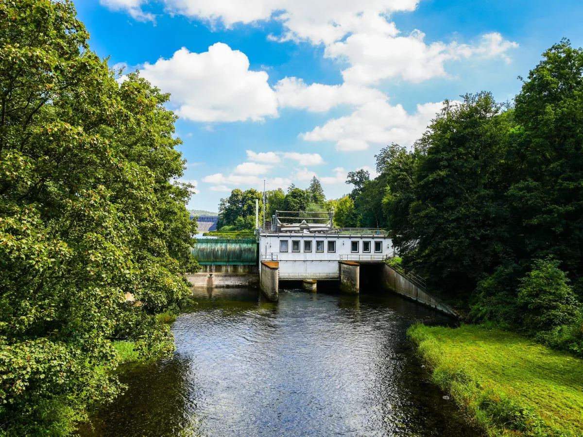 Möhnesee. Ökologische Systeme im Wandel? Regionale Auswirkungen globaler Klimaveränderung. Bild 2
