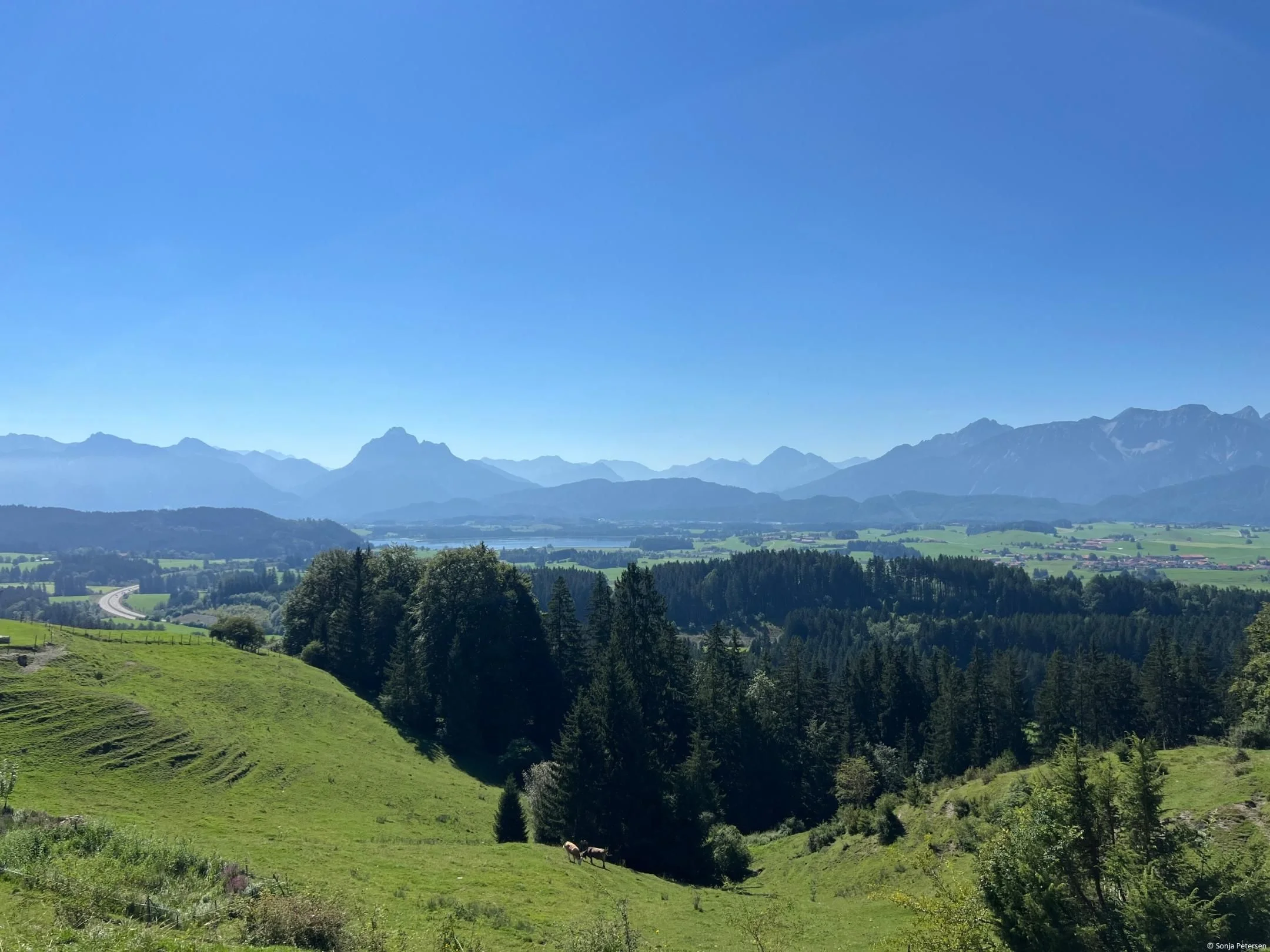 Resilienz, Achtsamkeit und sanftes Yoga im Vorarlberg - ein Training innerer Stärke für Beruf und Alltag Bild 1