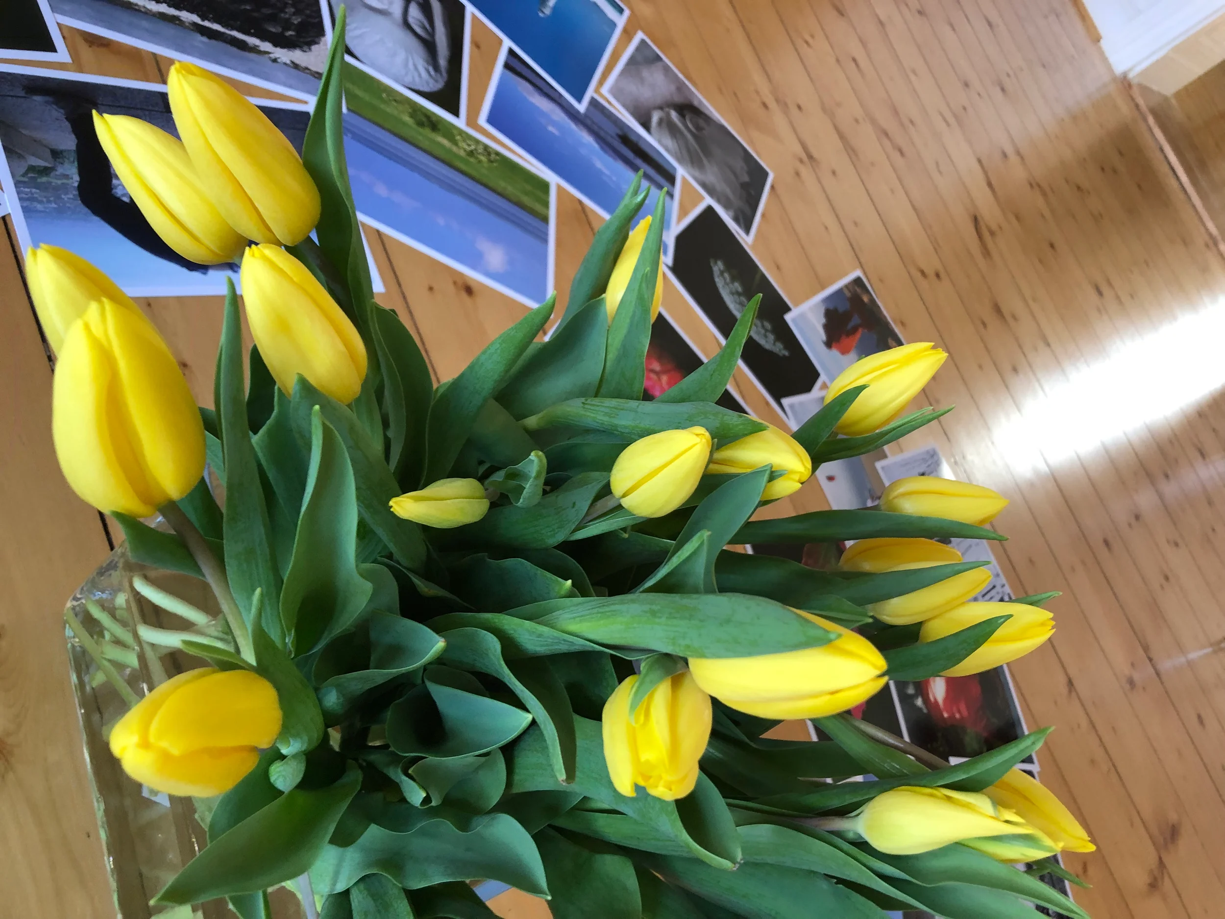 Resilienz Coaching - Ressourcen aktivieren und Selbstwirksamkeit stärken Bild 1