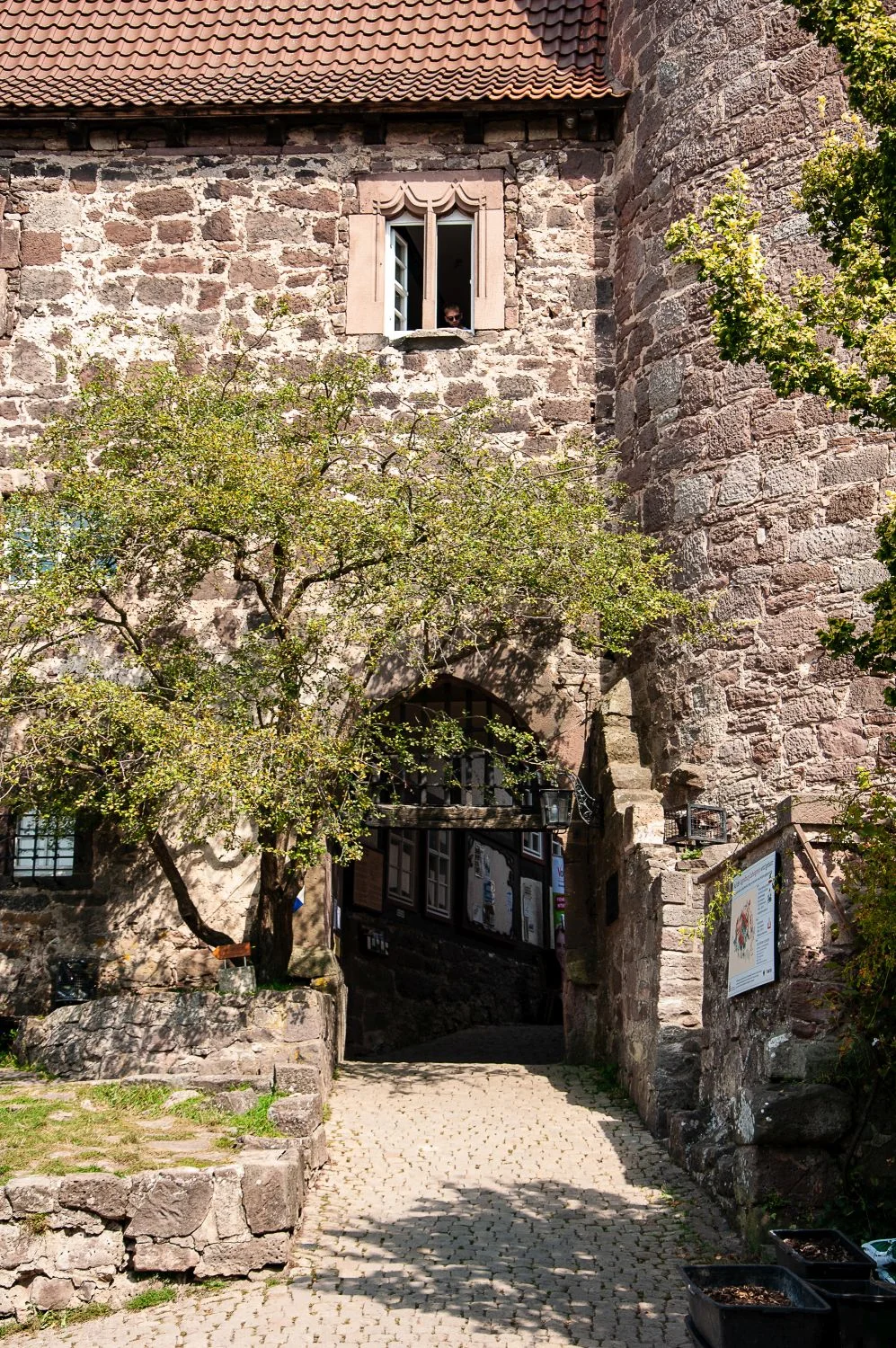 Resilienz-Training in der Natur: Methoden der Selbstwirksamkeit in Beruf & Alltag für mehr Stabilität in unserer heutigen Leistungsgesellschaft  Bild 2