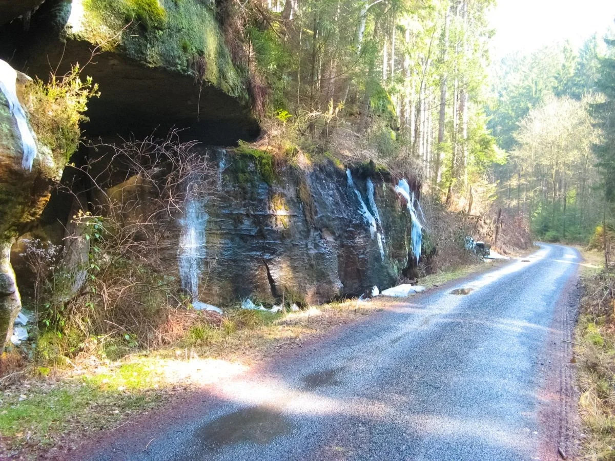 Sächsisch-Böhmische Schweiz: Zusammenarbeit und Konflikte in einem grenzübergreifenden (Inter)Nationalpark. Bild 2