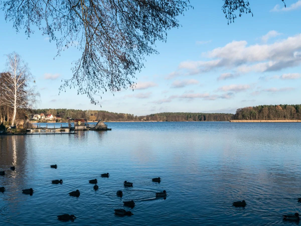 Uckermark II. Gottes vergessener Winkel - Winter in der Uckermark. Welche Perspektiven bieten sich der Uckermark in der Nebensaison? Bild 1