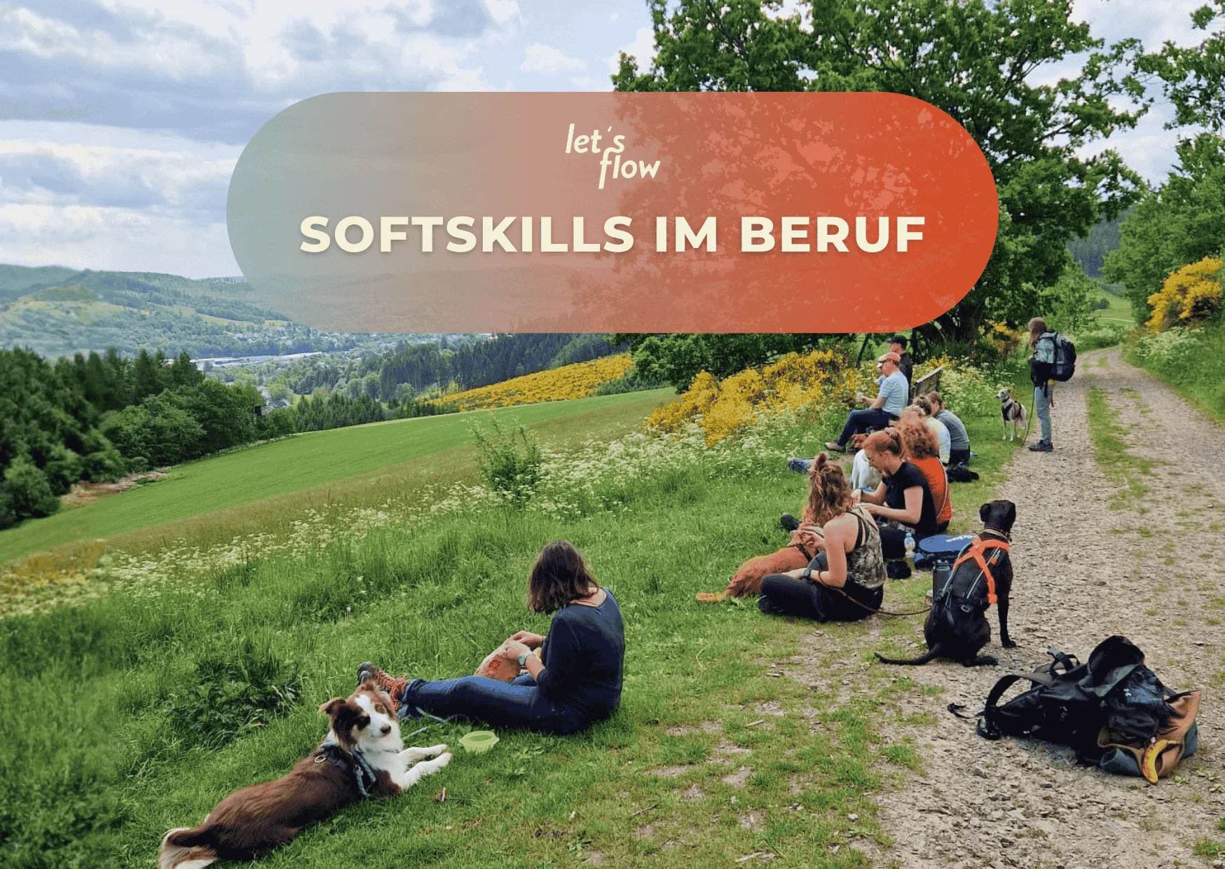 Wandern und Kommunikationsfähigkeit stärken in Bad Berleburg Bild 1