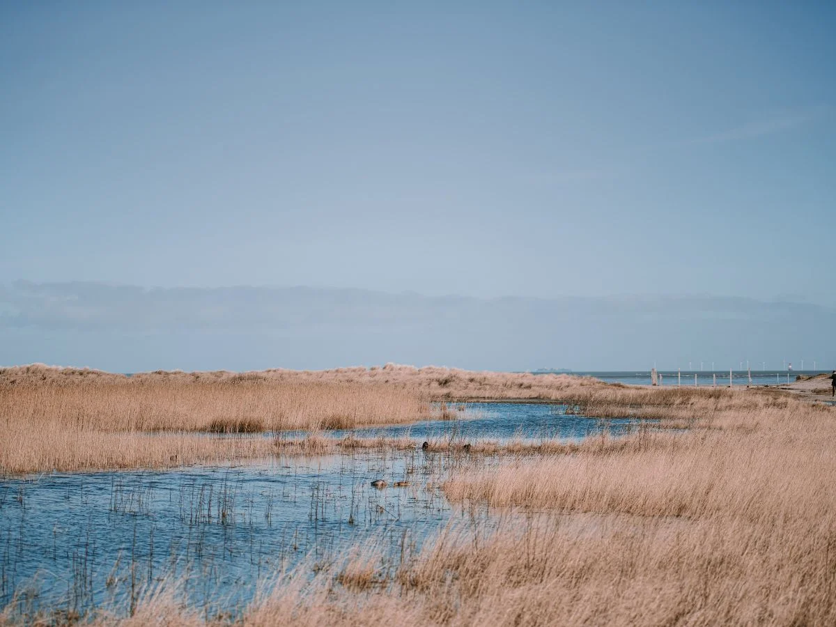 Wilhelmshaven. Eine Küstenstadt am Strom der Zeit.  Bild 2