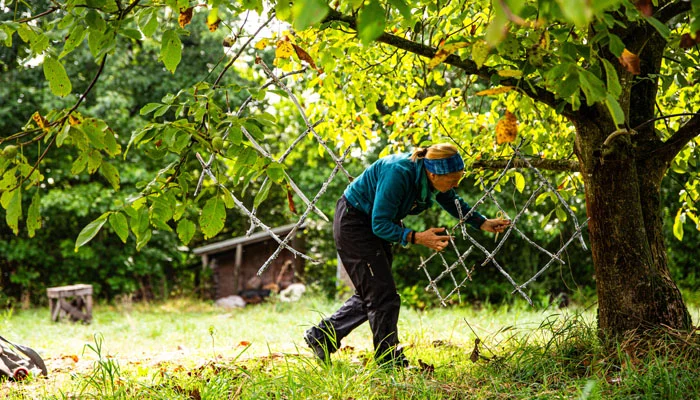 Zertifikatskurs Künstlerische Prozessbegleitung – Teil II: Transfer und Anwendung im Beruf Bild 2