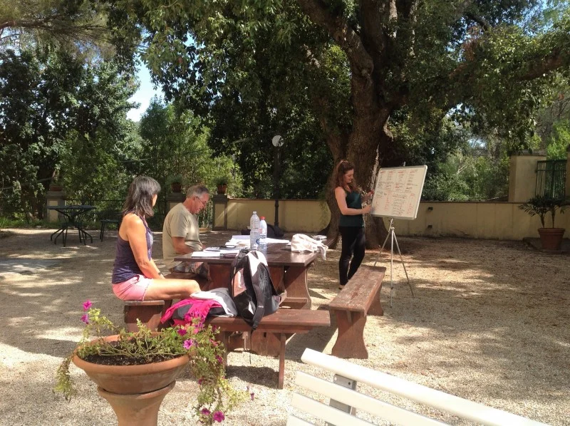 Italienisch auf Elba - zweiwöchiger Intensivkurs Bild 1