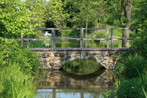 Bewusst und gesund im Berufsalltag durch Yoga und interdisziplinäre Techniken Bild 1