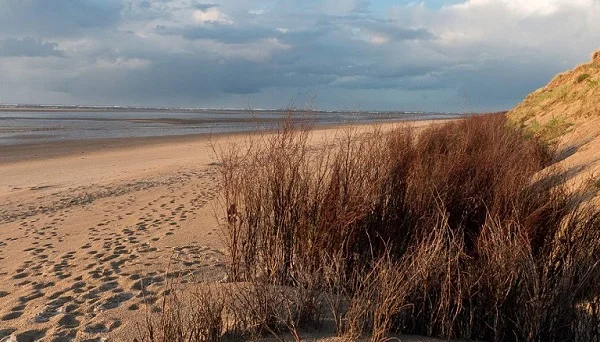 Bewusst und gesund im Berufsalltag durch Yoga und interdisziplinäre Techniken Bild 1