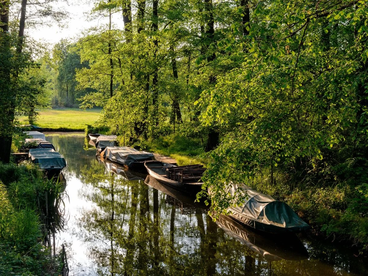 Biosphärenreservat Spreewald. Einzigartige Kulturlandschaft zwischen Naturschutz, Kohleenergiewirtschaft und Tourismus. Bild 2