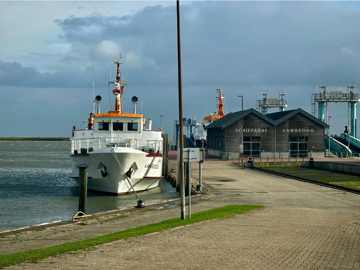 Langeoog. Gefahren beim Vogelzug - Der Mensch, das Klima und die Zugvögel. Bild 2