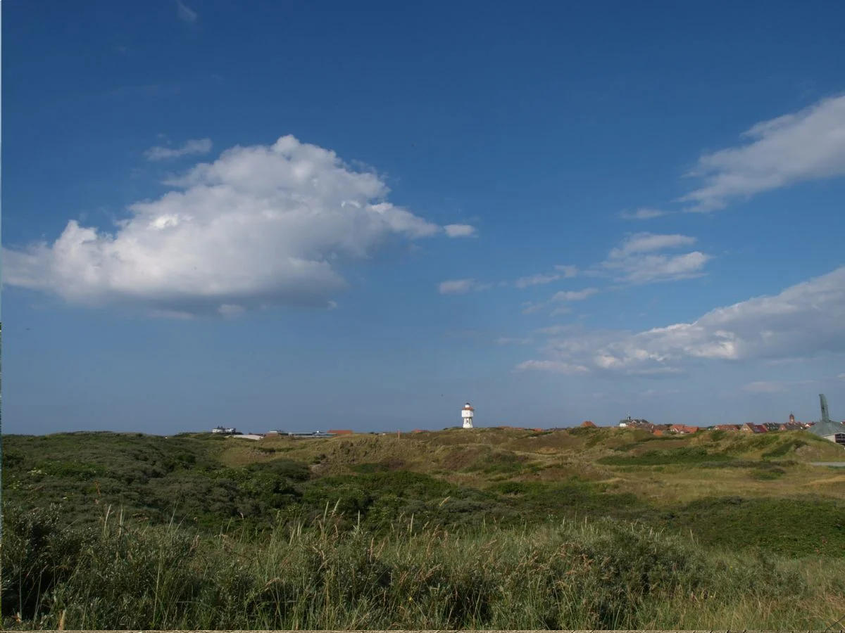 Langeoog. Gefahren beim Vogelzug - Der Mensch, das Klima und die Zugvögel. Bild 1