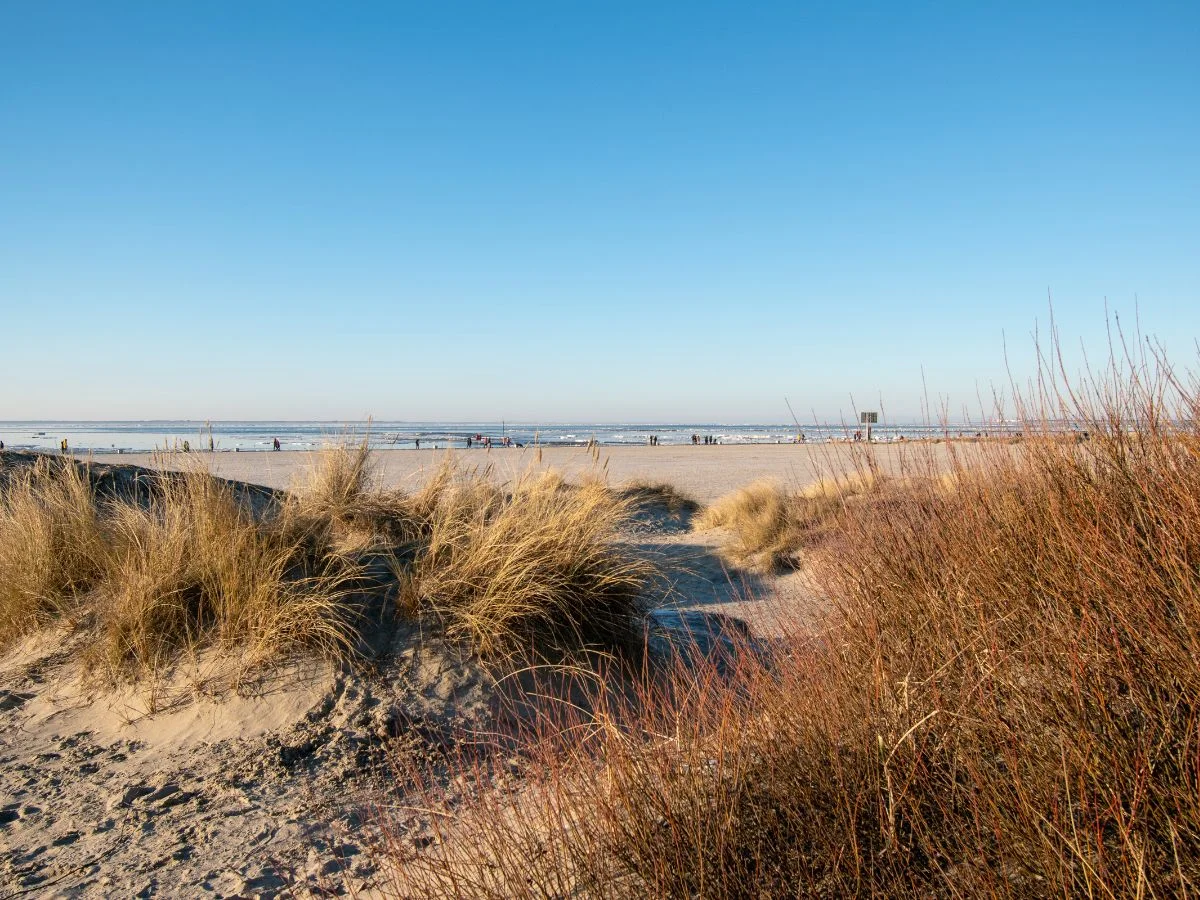 Norden/Norddeich. Weltnaturerbe trifft Weltkulturerbe. Ein Balanceakt zwischen Wirtschaft, Naturschutz und Tourismus? Bild 1