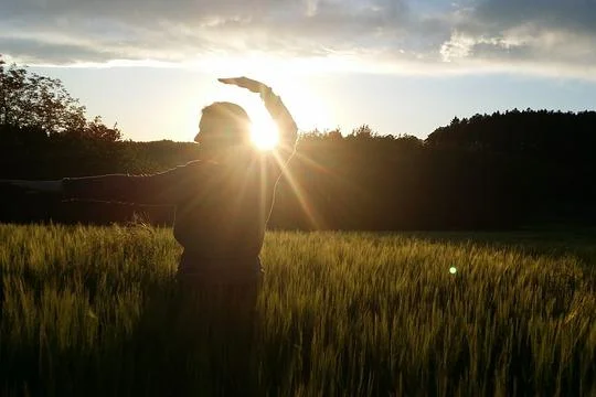 Qigong Yangsheng für den Berufsalltag - In Bewegung sein – Zur Ruhe kommen in einer schnelllebigen Gesellschaft Bild 1