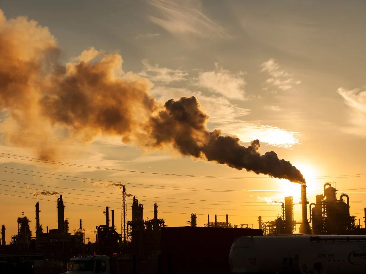 Rheinisches Braunkohlerevier in Zeiten von Energiewende und Klimawandel. Wo die Kohle ist - von Menschen, Wäldern und verschwundenen Dörfern. Bild 1