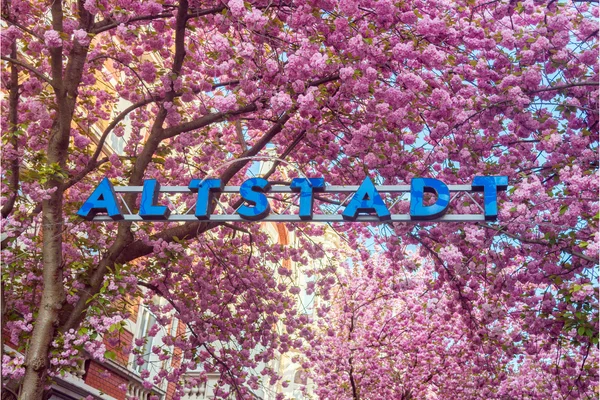 Den Akku aufladen für den Berufsalltag mit Yoga und Entspannungsübungen Bild 1