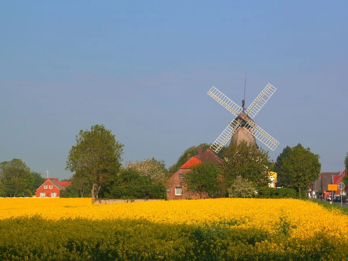 Carolinensiel. Die Nordsee in Gefahr? Wie sich Mensch und Natur beeinflussen. Bild 2