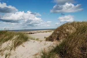 Englisch auffrischen und vertiefen - an der Nordsee (B2/C1) Bild 1