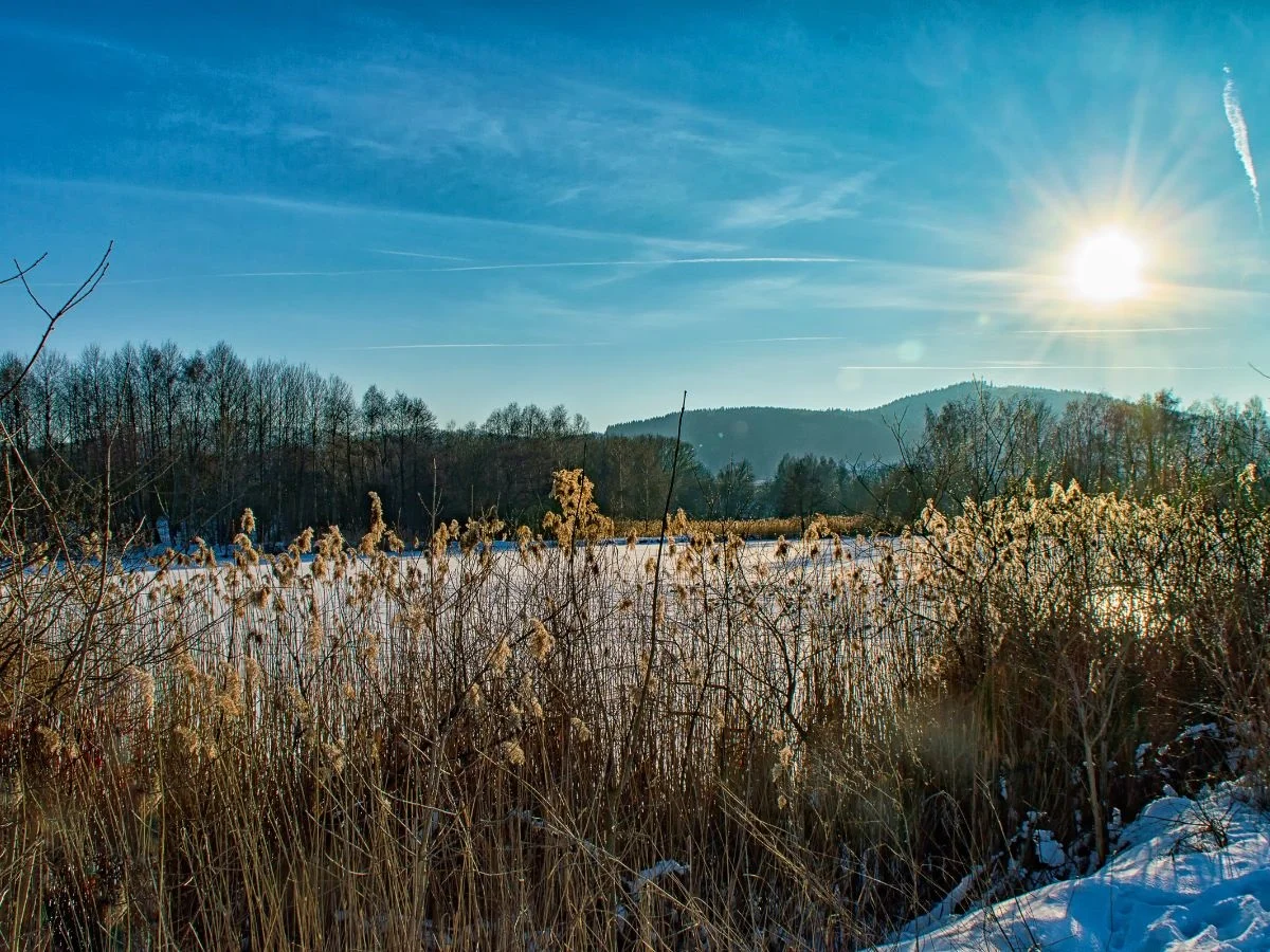 Thüringen. Tradition und Moderne - Strukturwandel in Thüringen. Bild 2