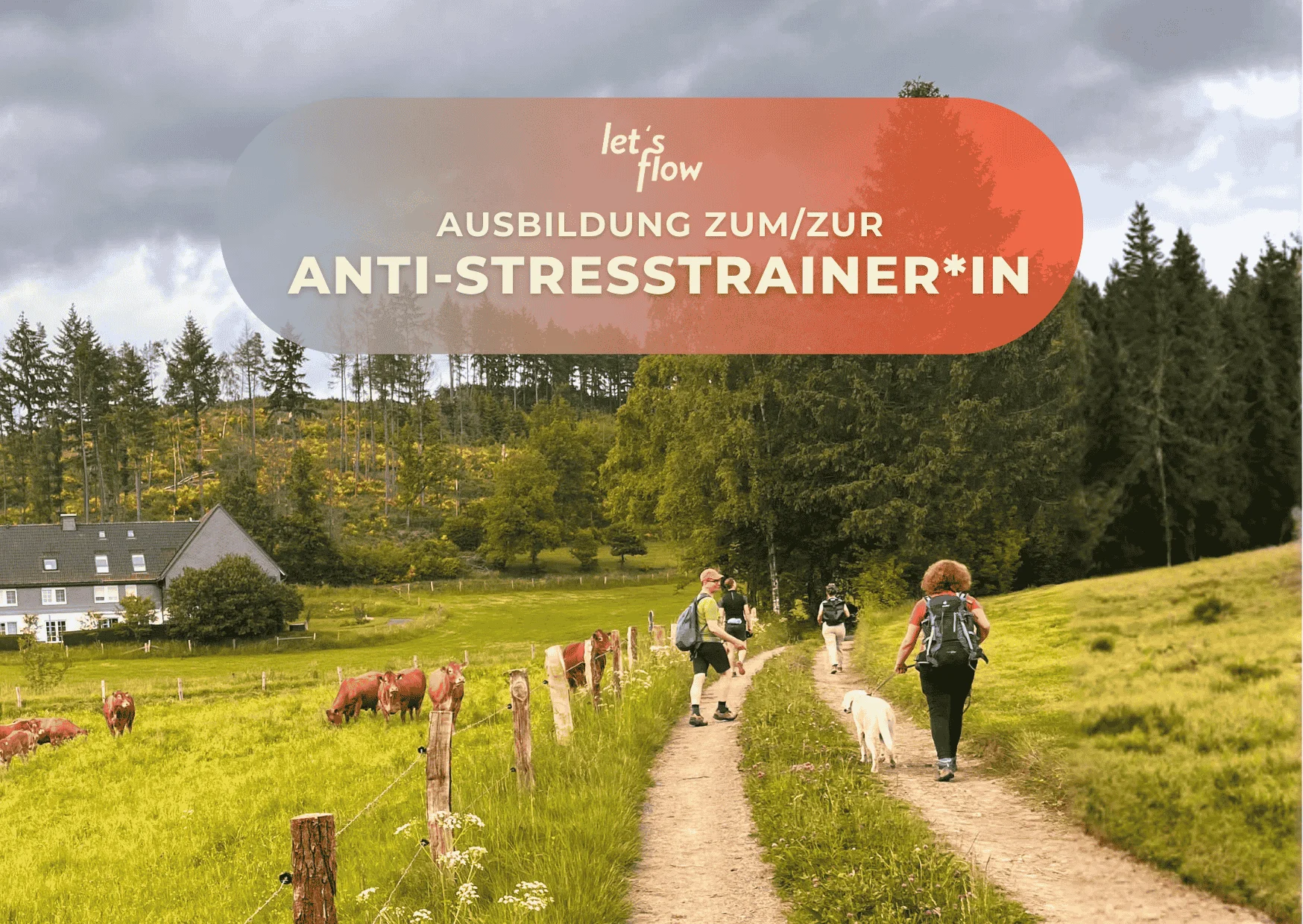 Wandern und Antistresstrainer*in werden in Bad Berleburg Bild 1