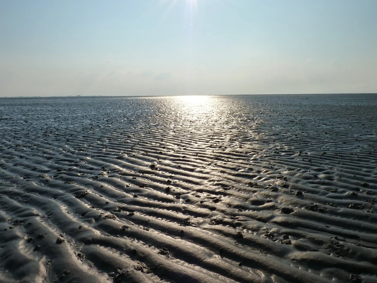 Weltnaturerbe Wattenmeer Bild 1