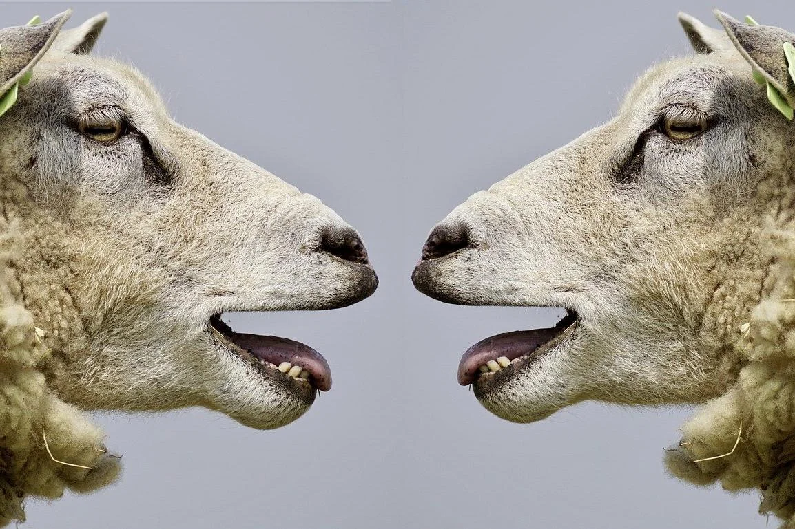 Gewaltfreie Kommunikation (GFK) Bild 1