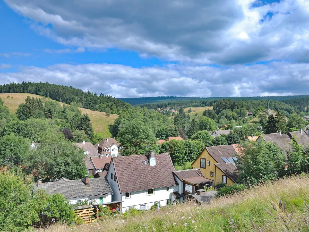 Harz. Nationalpark Harz im Spannungsfeld zwischen Naturschutz, Weltkulturerbe und Tourismus. Bild 2