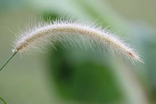 Hatha Yoga, was uns stark macht Bild 1