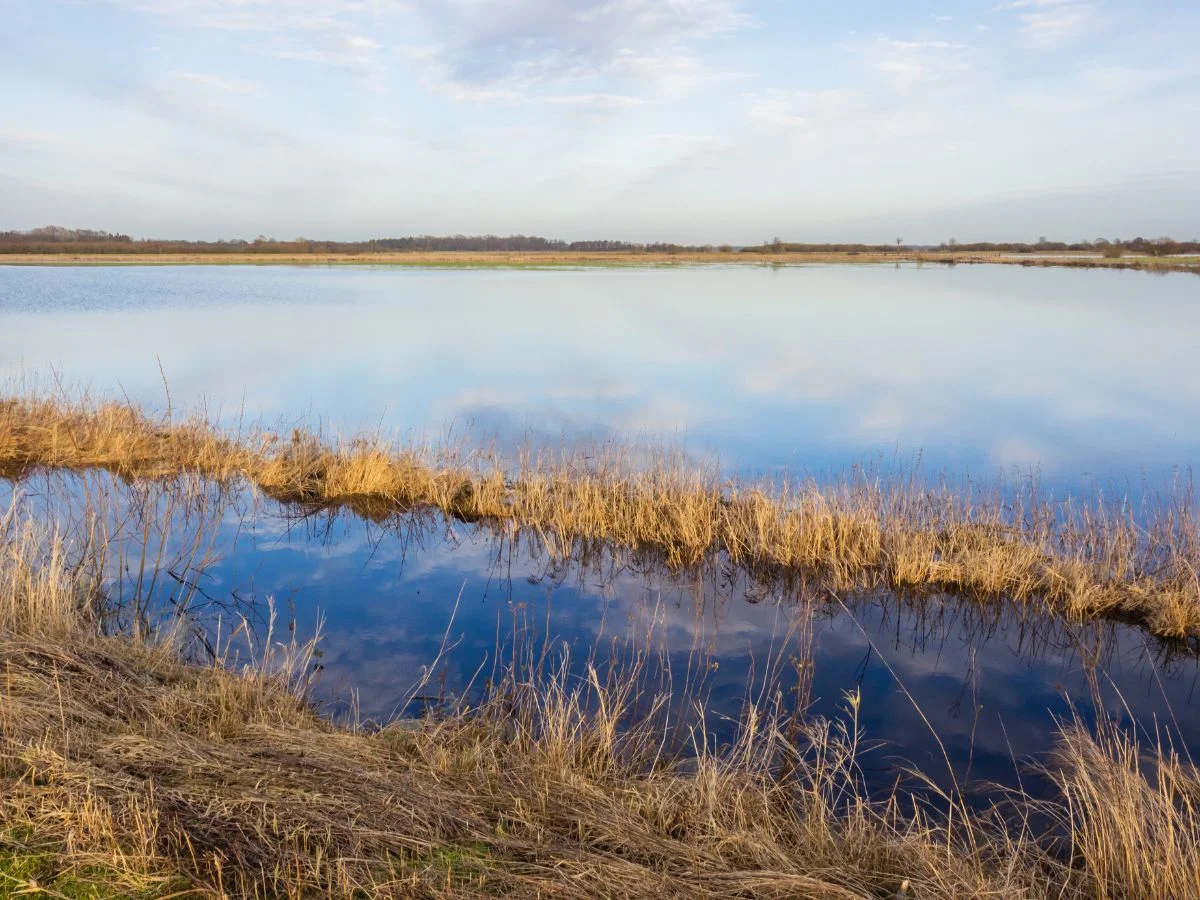 Worpswede II. Ein facettenreiches Künstlerdorf am Rande der Moore. Bild 2
