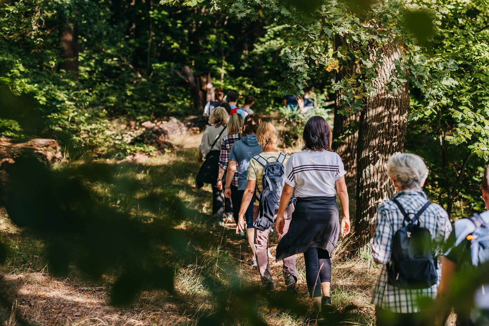 Hildegardfasten & Yoga – resilient und leistungsfähig durch Bewegung, Waldprävention, Ernährung & Fasten Bild 2
