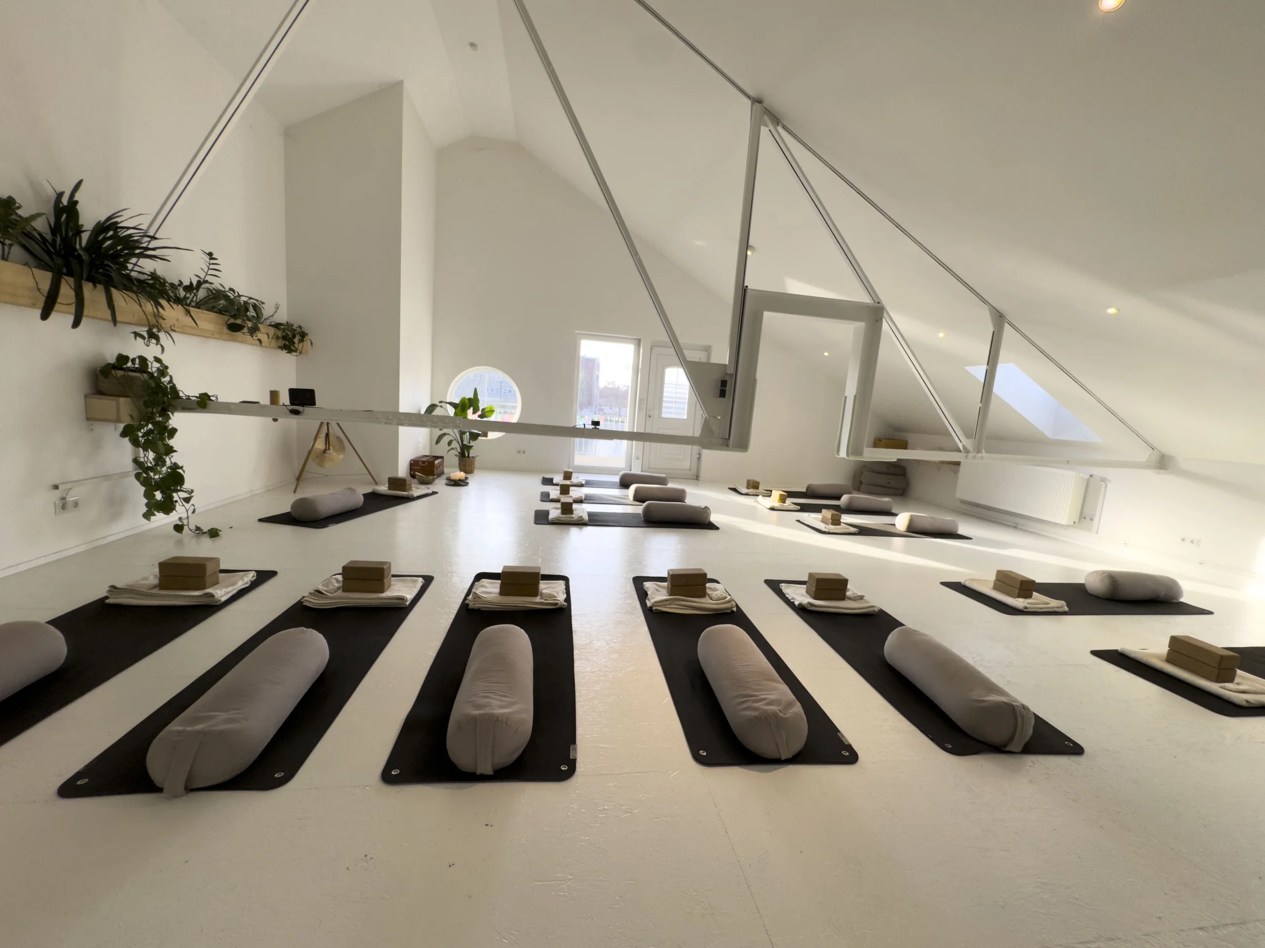 Yoga Basics & Burnout Prävention Bild 1