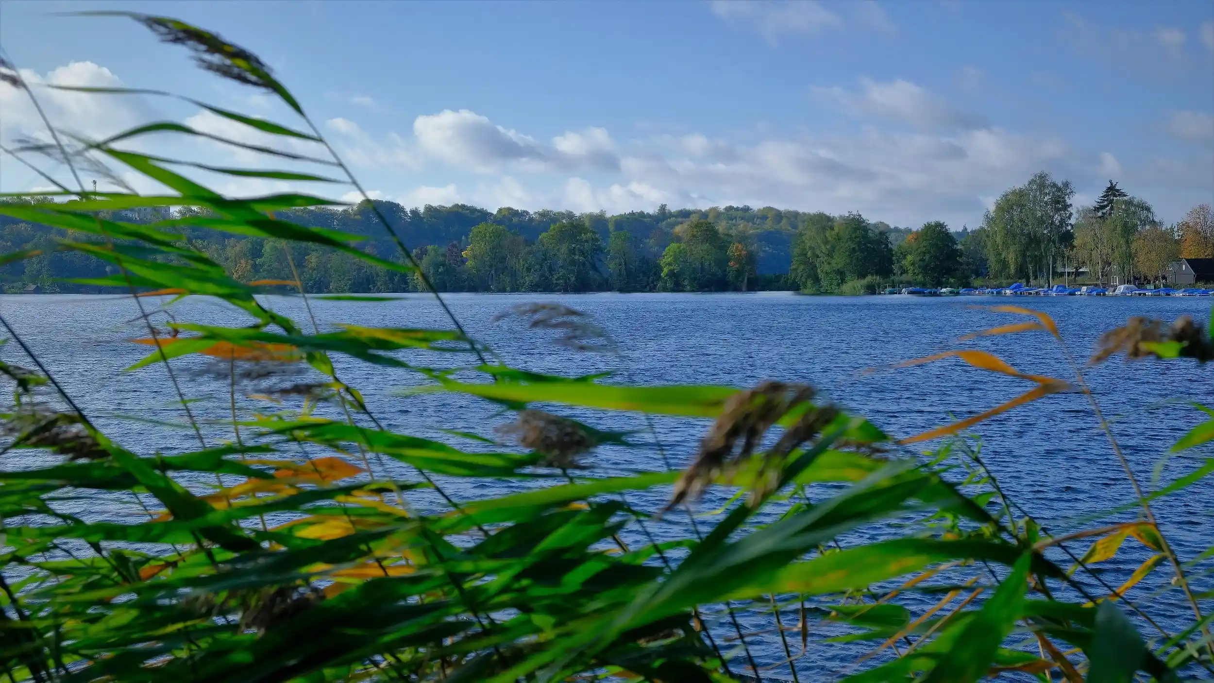 Aufblühen statt ausbrennen (Ratzeburg): Resilienz entwickeln und gesund bleiben trotz beruflicher Anforderungen (für Frauen) Bild 2
