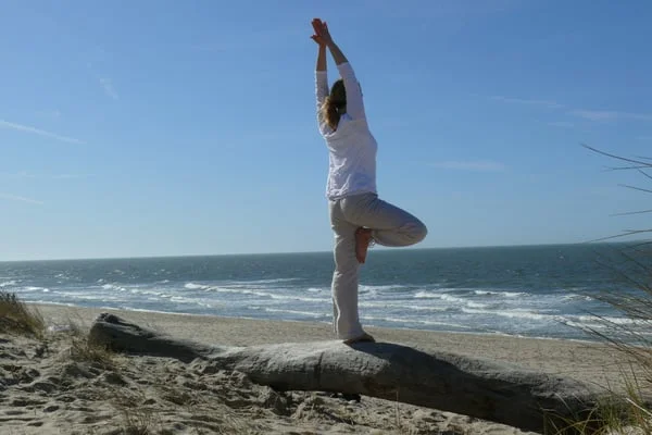 Yogalehrerausbildung März ´26 - 100h - Kompetenzen für berufliche Stressbewältigung und mentale Stärke Bild 1