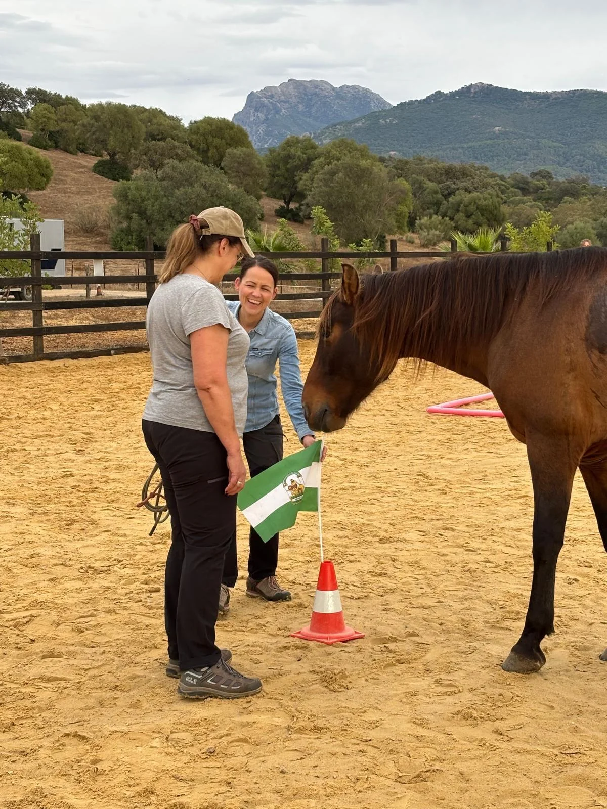 Spanisch & pferdegestütztes Coaching (Bildungsurlaub) Bild 2
