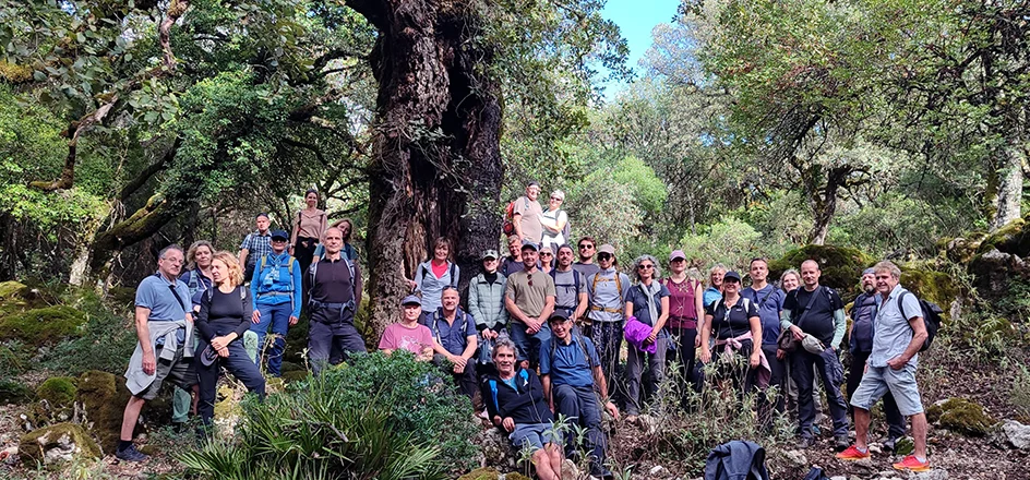 Spanisch-Superintensivkurs für alle Niveaus + Wandern im Naturpark Sierra de Grazalema in Andalusien 1-2 Wochen Bild 2