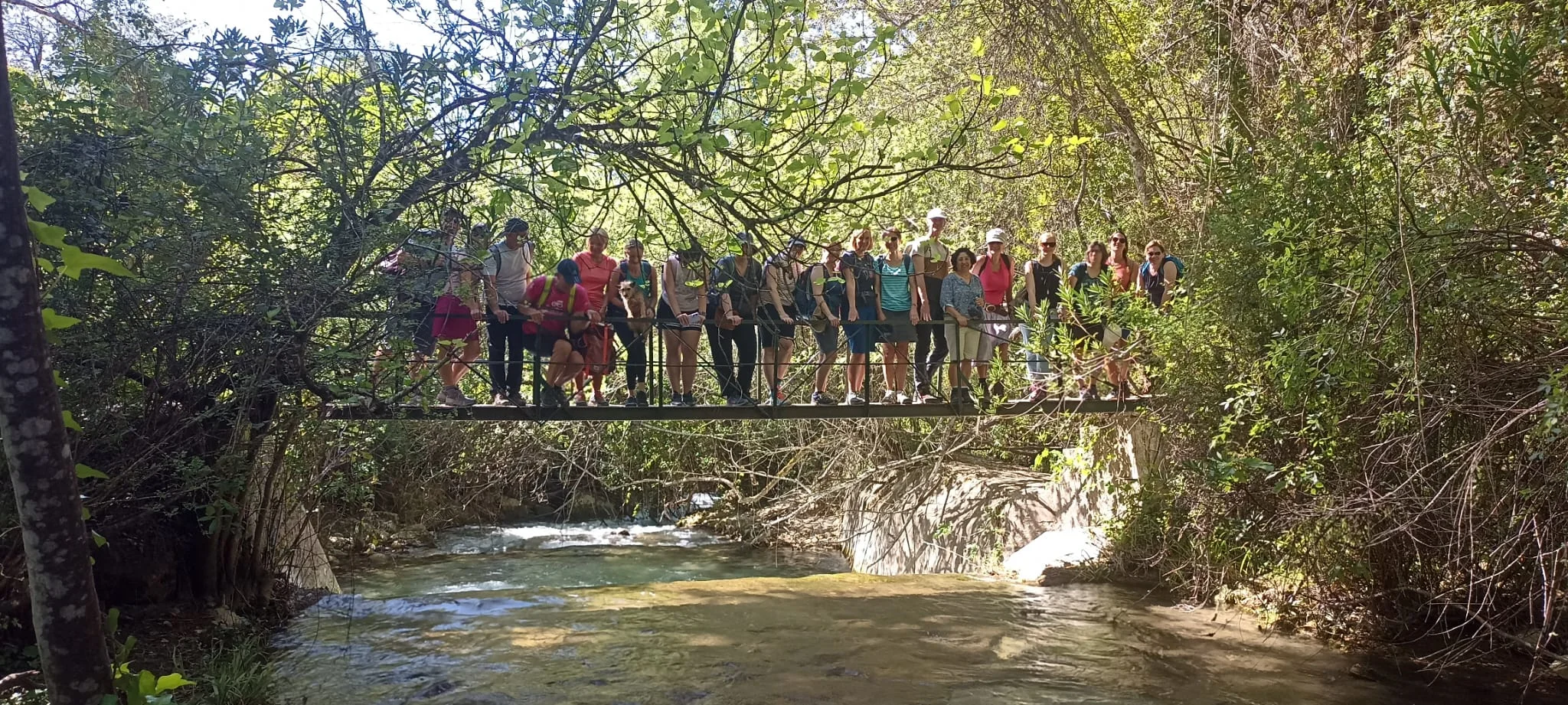Spanisch-Superintensivkurs für alle Niveaus + Wandern im Naturpark Sierra de Grazalema in Andalusien 1 Woche Bild 2