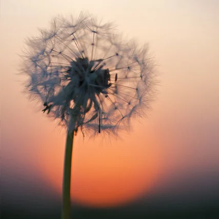 Bildungsurlaub an der Ostsee: Gelassen und stressresilient im Job - mit Tools zur Stressbewältigung:  Kommunikation, Yoga und Achtsamkeit Bild 1
